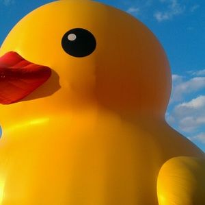 Meet your Posher, Tom